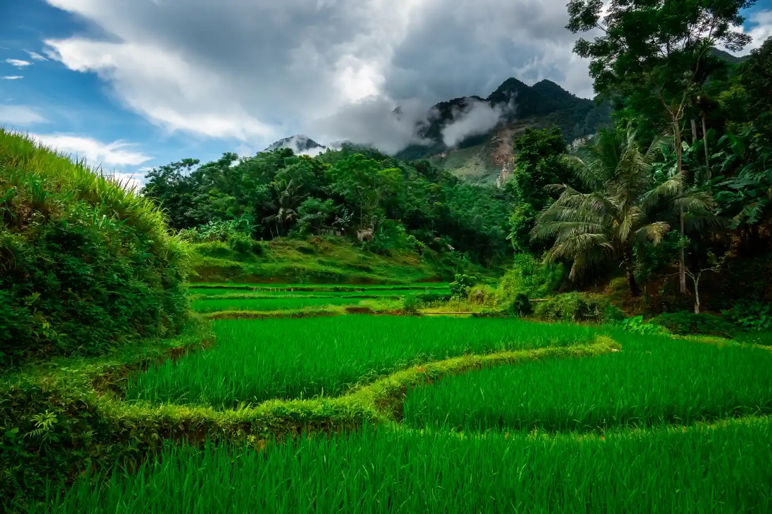CIRCUIT PRIVATIF : DECOUVERTE DU VIETNAM DU NORD AU SUD